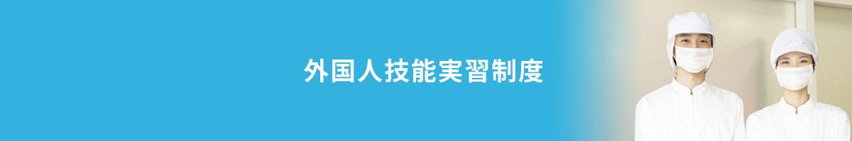 外国人技能実習制度