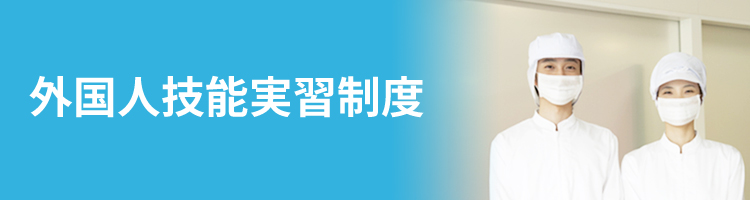 外国人技能実習制度