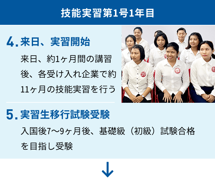 【技能実習第1号 1年目】4.来日、実習開始　来日、約1ヶ月間の講習後、各受け入れ企業で約11ヶ月の技能実習を行う　5.実習生移行試験受験　入国後7〜9ヶ月後、基礎級（初級）試験合格を目指し受験